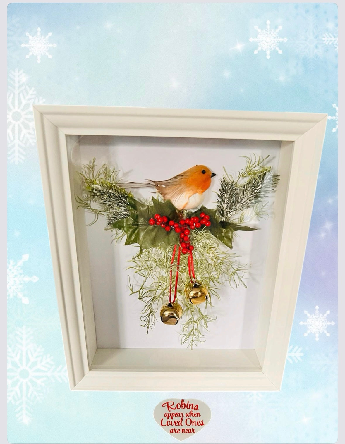 Handmade 3D Robin Boxed Frames