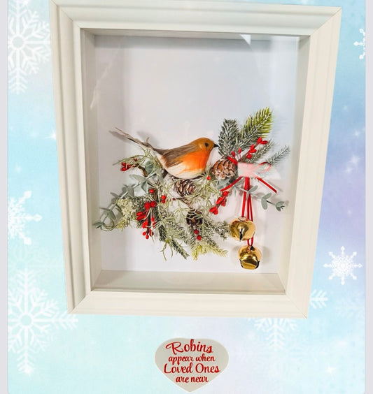 Handmade 3D Robin Boxed Frames