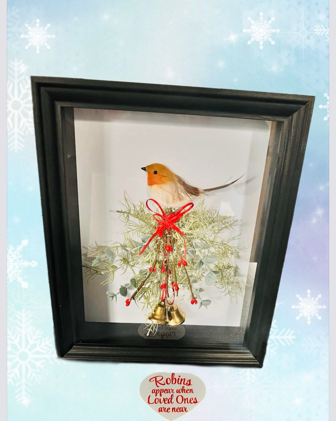 Handmade 3D Robin Boxed Frames